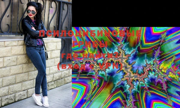 ГАЛЛЮЦИНОГЕННЫЕ ГРИБЫ Кинешма